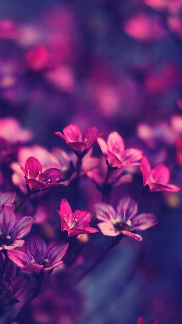 إيمانك بأن كل شي مكتوب لك ، يزرع فيك شعور الرضى بكل مايحدث لك."🤲🏼