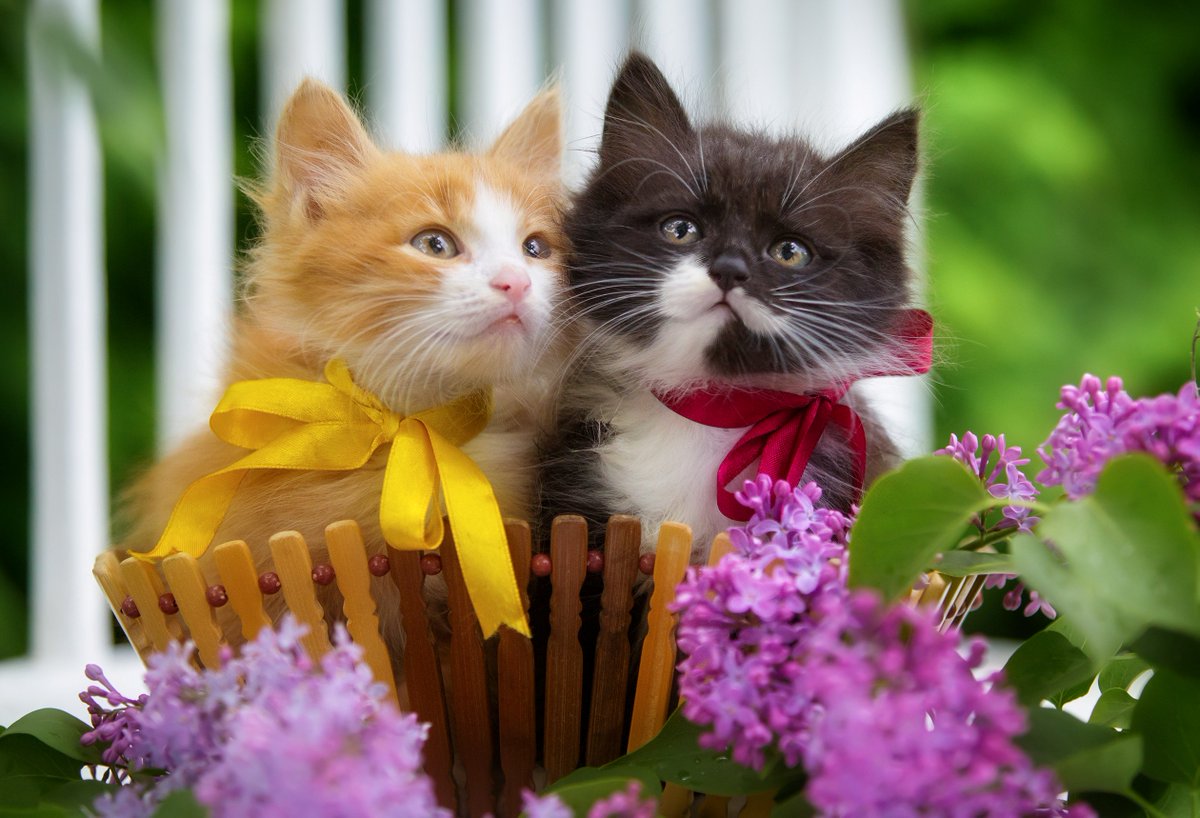 ♡♡♡💚♡♡♡