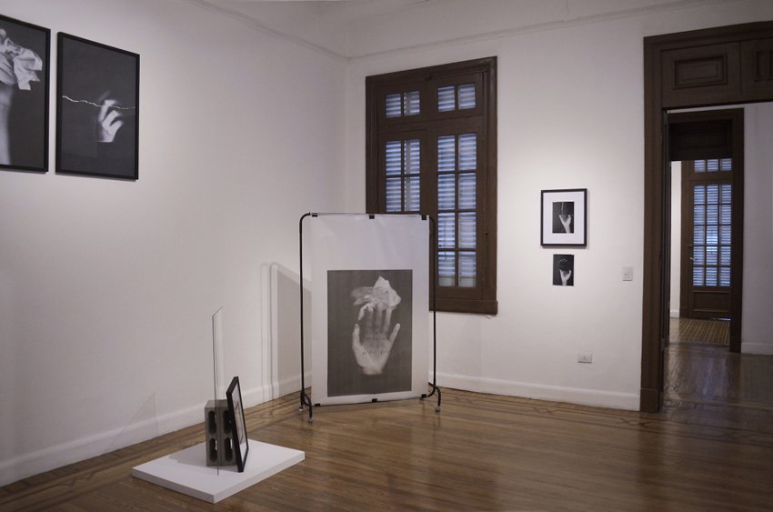 Hipermedula.org tweet media