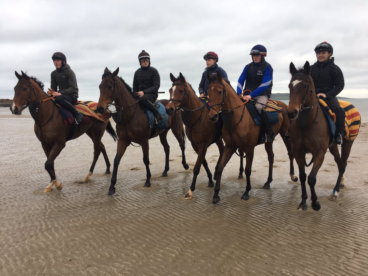 Ado McGuinness Racing tweet media