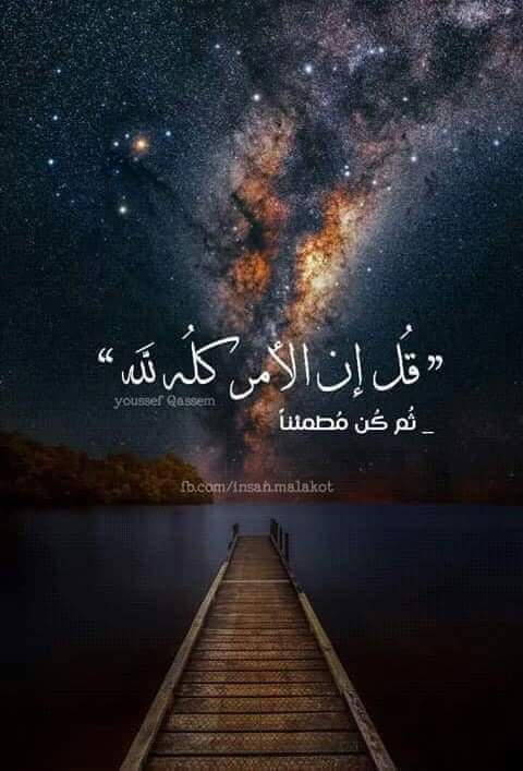 #انتخابات_الانديه