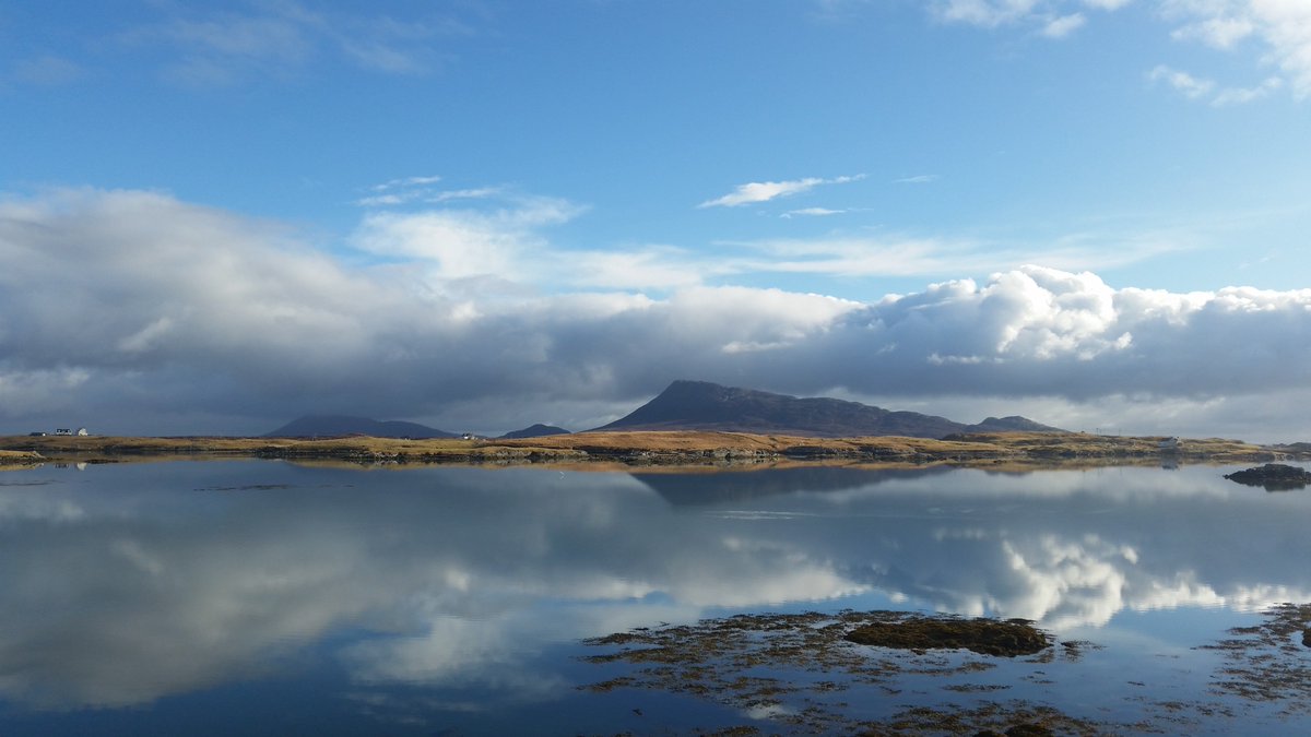 Donald A Nicholson tweet media