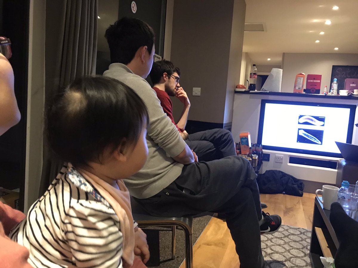 Feng Lab tweet media