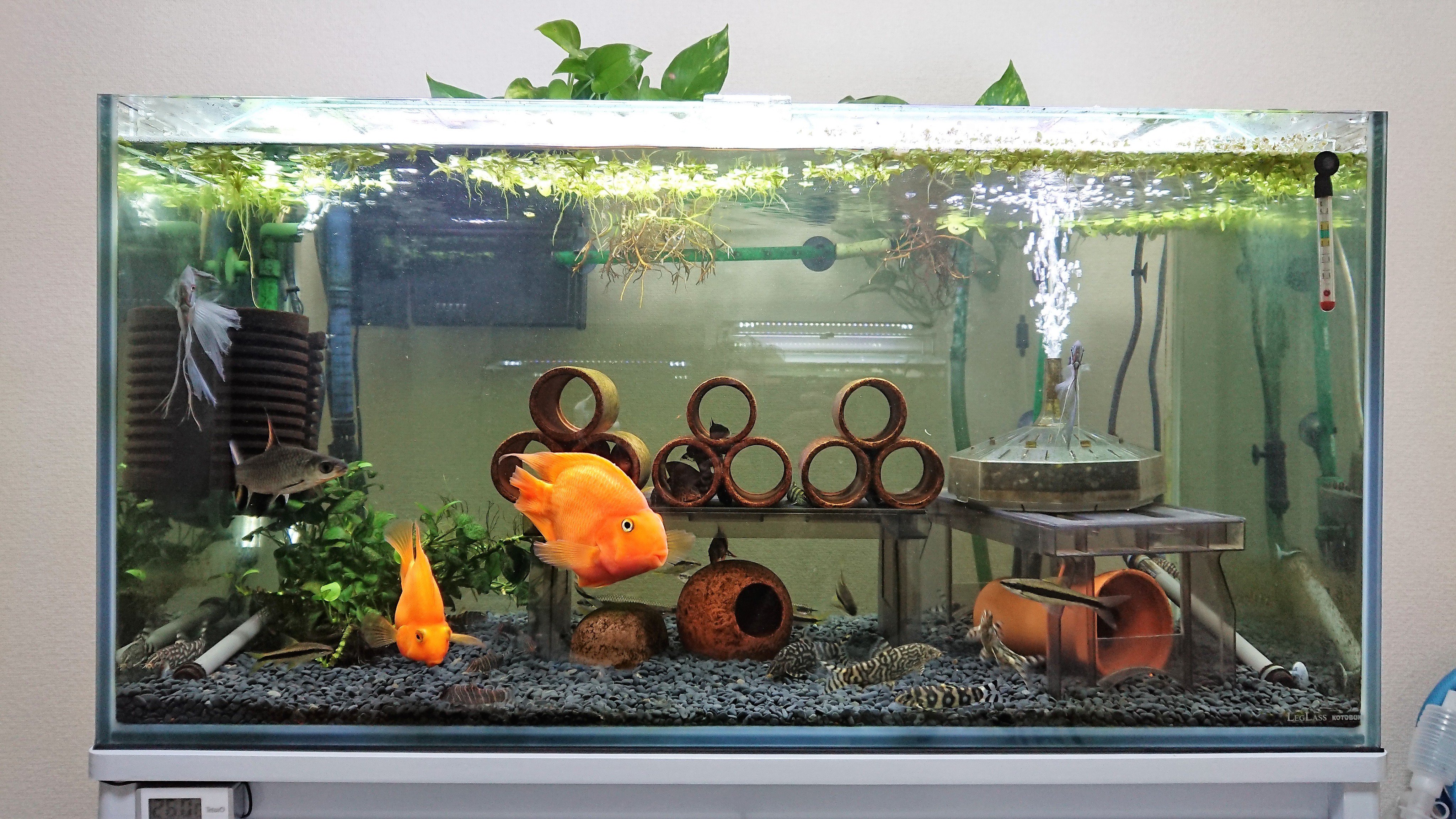 90センチ二段水槽 フルセット