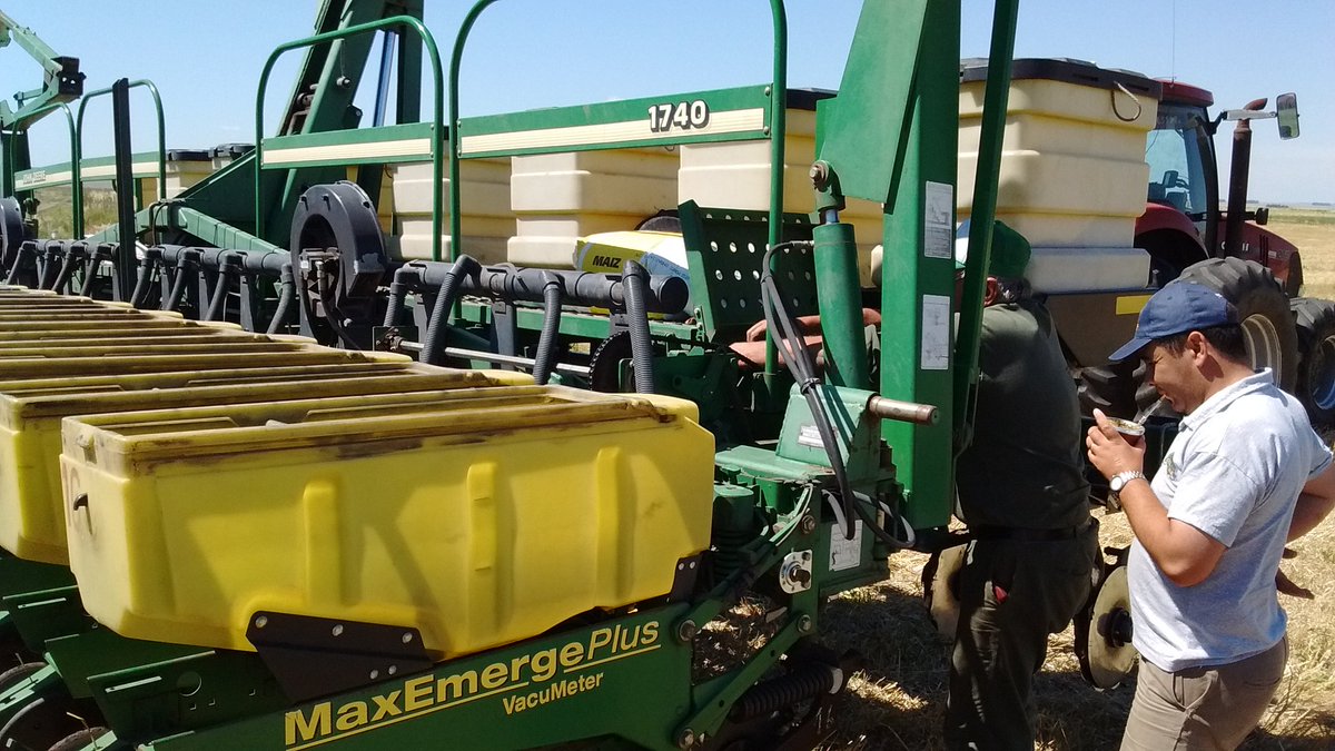 gblanco6422's tweet photo. Último ensayo de #maizdesegunda 38A57HR en distintas densidades.@PioneerSemillas #estamosdondeestas #Agropecuarialahuella https://t.co/X4XMRJa1SC