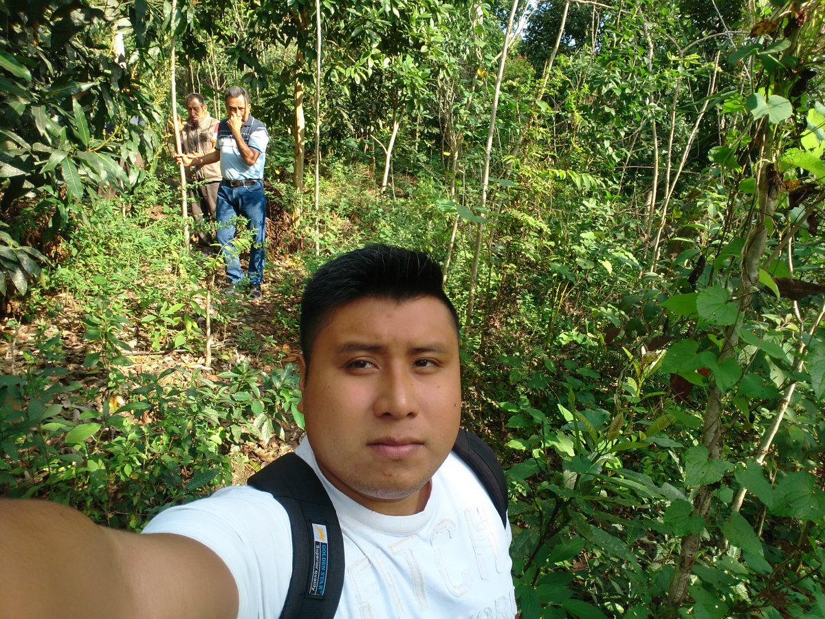 OswaldZaragoza's tweet photo. En #ExtensionismoHIDALGO es siempre un gusto trabajar en Equipo con los productores de miel. En Cuaxocotitla Huejutla Hgo. Con el ING @hermenindo @SEDAGRO_HIDALGO #SubSria_DesarrolloRural @Car_Muniz @ecarizpe @EduardoVM19 @jvfalcon2 https://t.co/HlpAwZjnfs