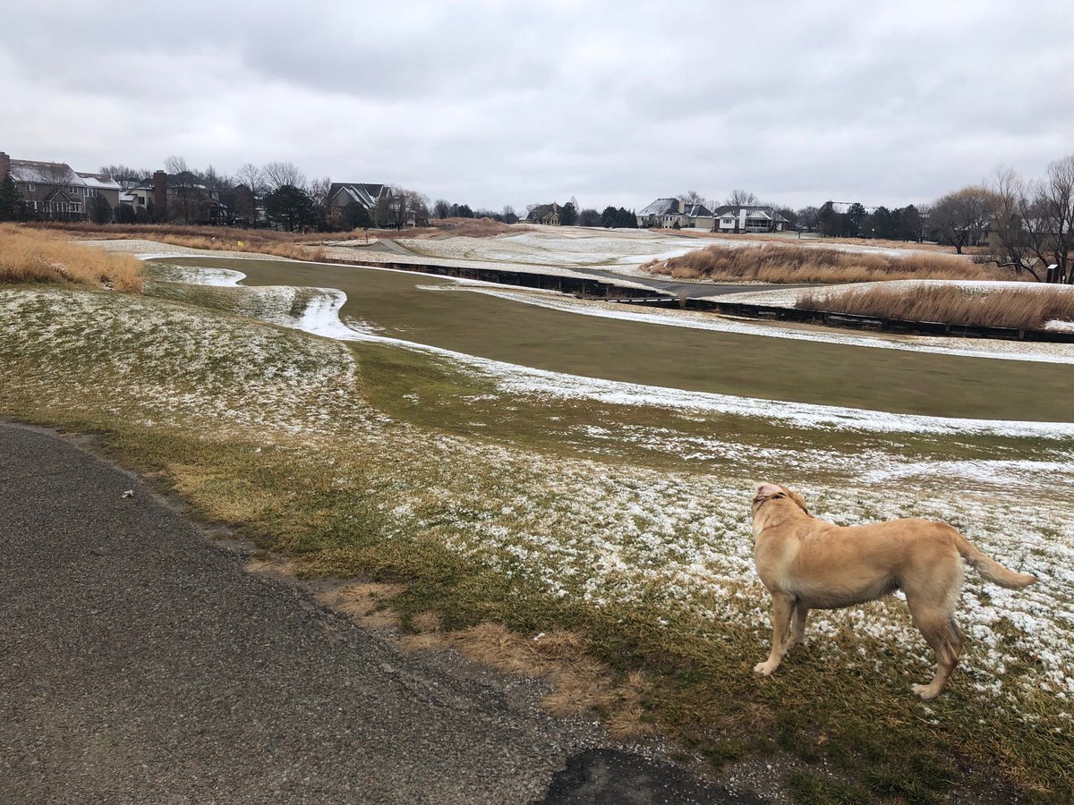 Curt Schriever tweet media