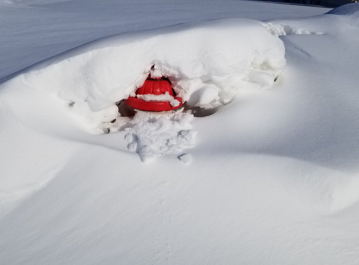 Scott Co EM tweet media