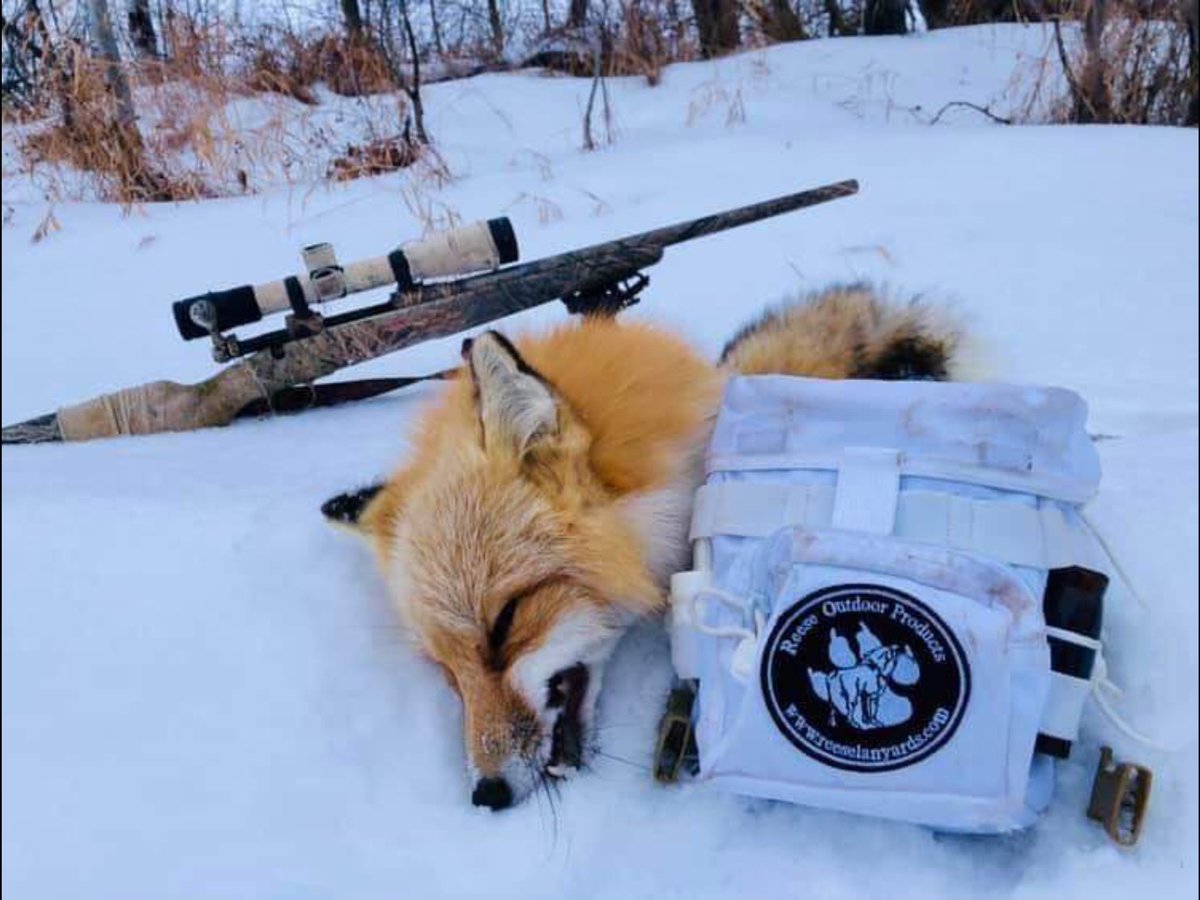 Coming to the UK 🇬🇧 soon !! The New Sly Vixen Fox Call🦊 and those Surge Predator Packs 👌
#reeseoutdoorproducts #foxcalls #countrysidefoxcalls #foxhunting #andybarkercountrysidefieldsports