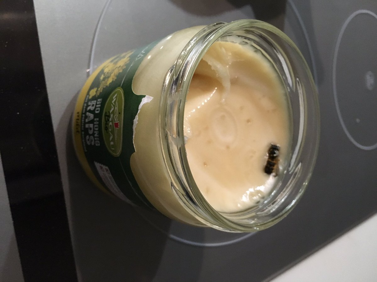 74CPT's tweet photo. @wsocial5 please be careful in your factory as I have found a wasp in my honey ! I think it is not considered a #vegan honey. #reimbursmentneeded #howcomes #Waspthef*** #wasgau #wasgaubio #biohonigraps https://t.co/Plj7gF5vOS