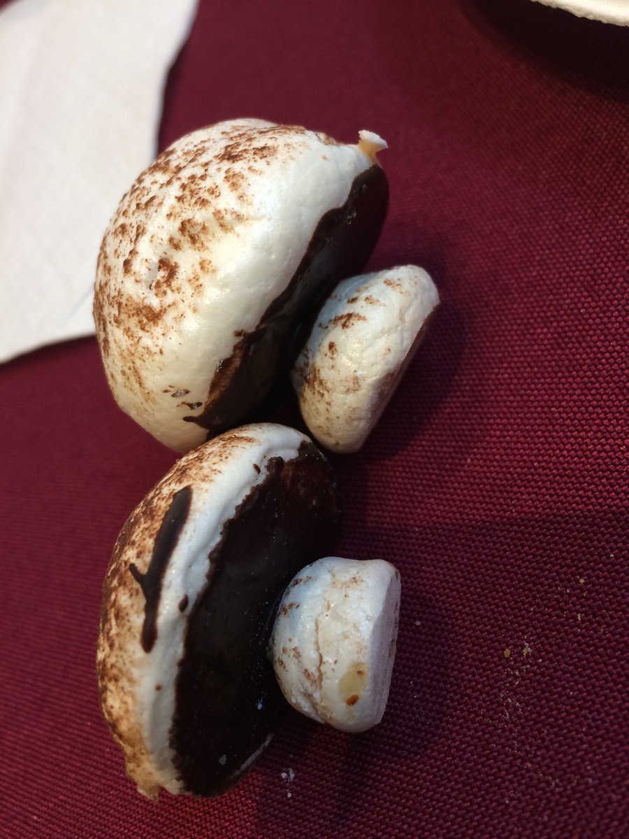 Odette9876's tweet photo. Fascinating Fungi shaped sweets ⁦@TBG_Canada⁩ https://t.co/rwtMxbWijF