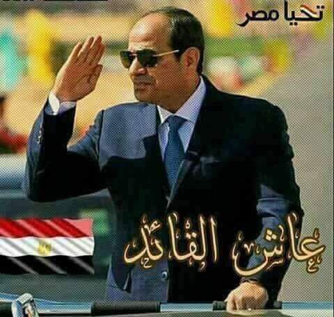 sabrein fayed tweet media