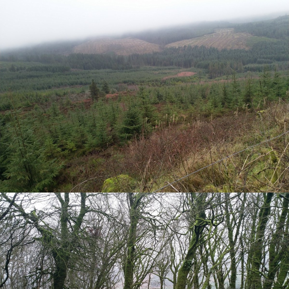 AdrianKavanagh's tweet photo. Slieve Bloom Mountains (Laois side of the Mountains) #YearofGeography #LaoisWeek https://t.co/oURmgJa4De