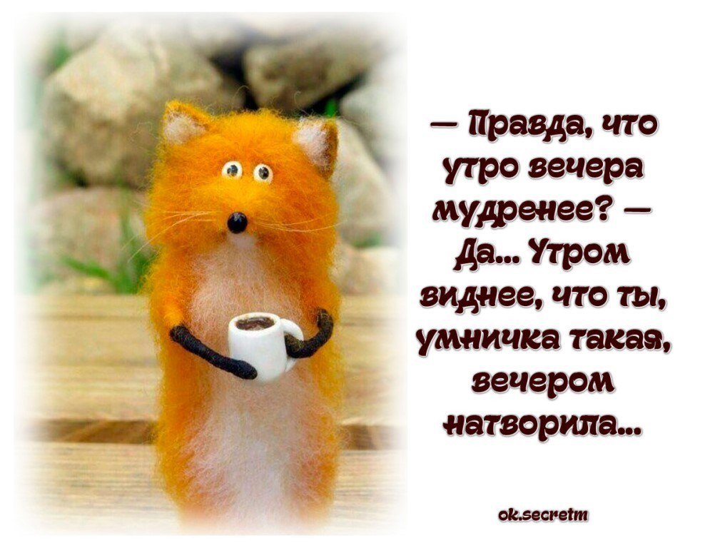 https://pbs.twimg.com/media/Dwuw-NkXgAU_apb.jpg