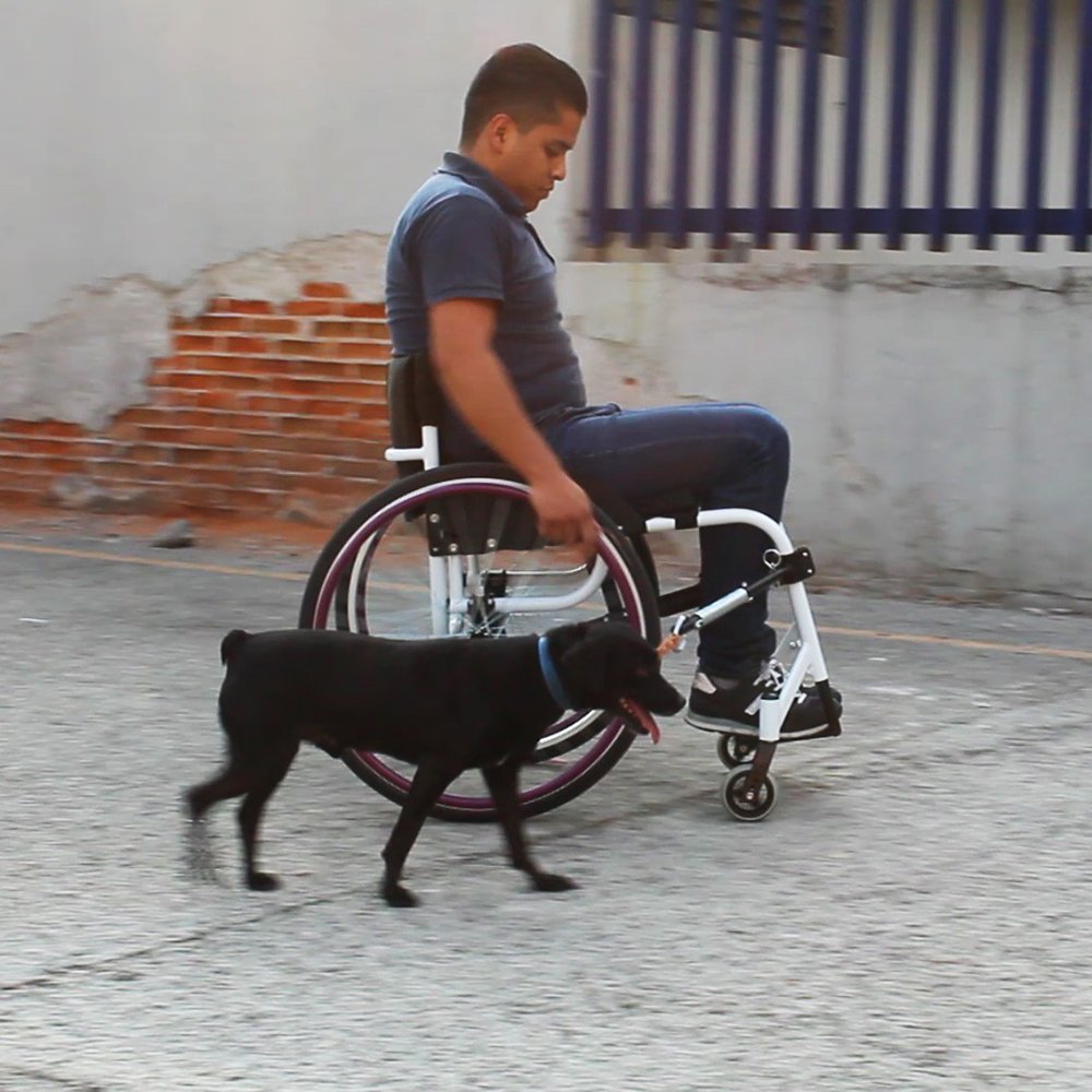 ecotenka's tweet photo. Aquí el Frijol🐾🐾 paseando feliz con el PerroGrúa. Lo puedes colocar en tu bicicleta, silla de ruedas o handbike para pasear de forma segura con tu perrito! #dtbike #doglovers #bicicleta #ciclismo #discapacidad #perros #silladeruedas #ciclismo #FelizSabado #mascotas https://t.co/Q4z569sTgd