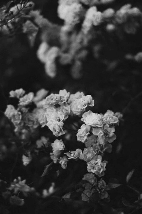 🦄✨

<a href="/gozdemutluer/">gözdemu</a> | #GözdeMutluer