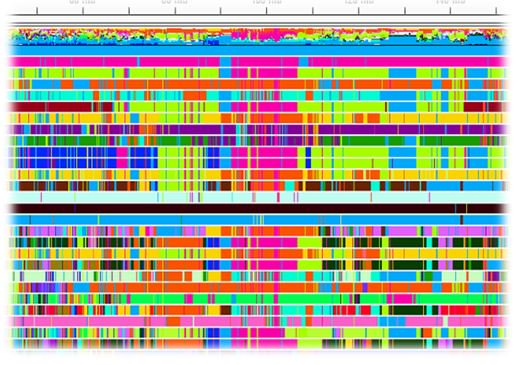 NRGene's tweet image. Come and hear @guykol & @PaulChomet presenting @NRGene new #ArrayMAGIC - the ultimate #genotyping solution (including a peek to the breathtaking results for #maize). Starts 4PM at the Garden Salon 2 #PAGXXVII #PAG2019 #plants #genomics