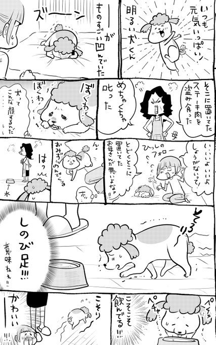 松本ひで吉 10月13日犬猫7巻発売 Hidekiccan さんのマンガ一覧 いいね順 4ページ ツイコミ 仮 松本ひで吉 10月13日犬猫7巻発売 Hidekiccan さんのマンガ一覧 いいね順 4ページ ツイコミ 仮