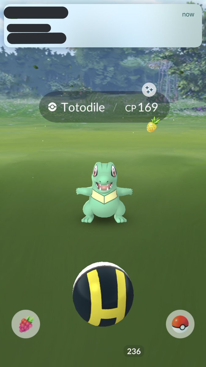 vxzsm's tweet photo. couldn’t go out today but at least I got this from home #pokemongo #PokemonGOCommunityDay https://t.co/rHG04YCrDy