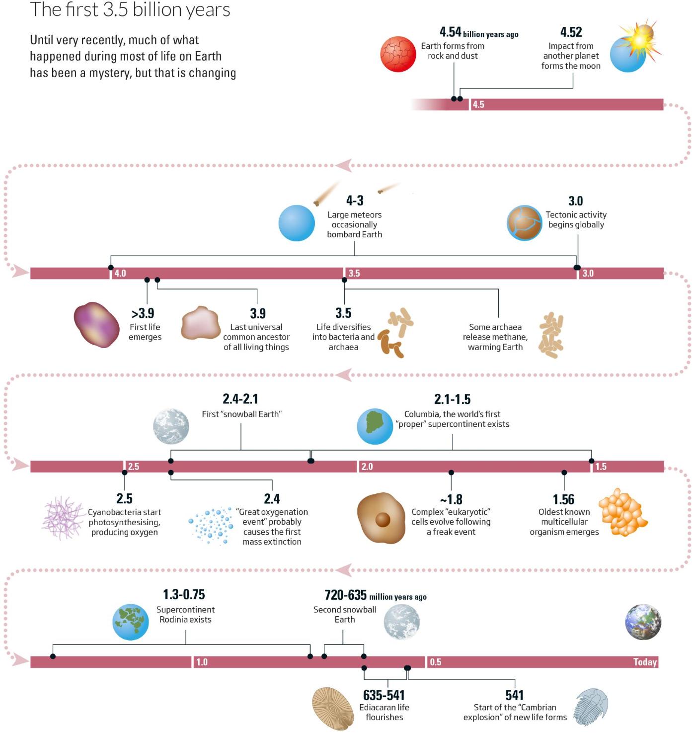 Infographic
