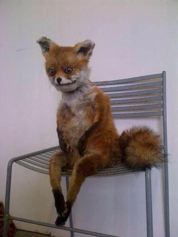 MulletDragon's tweet image. when u wake up early in the morning and u sit on the edge of ur bed like