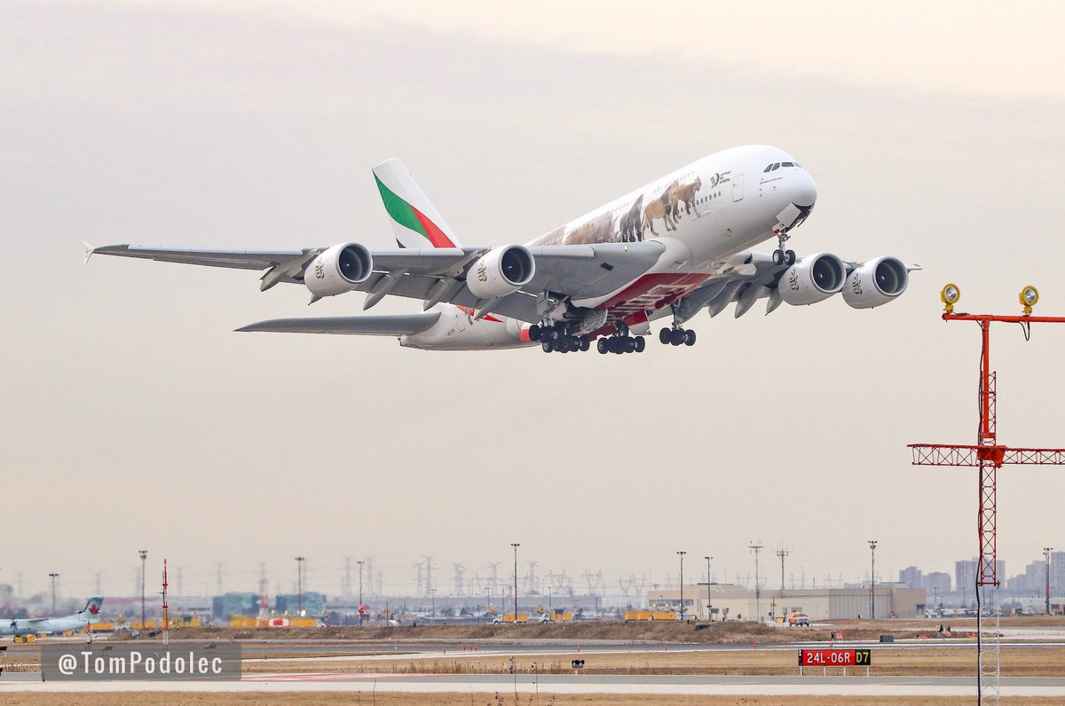 TomPodolec's tweet photo. Emirates #EK242 departing Toronto and heading to Dubai. 

A6-EOM Airbus A380
United for Wildlife livery https://t.co/sAHzw9KW6O