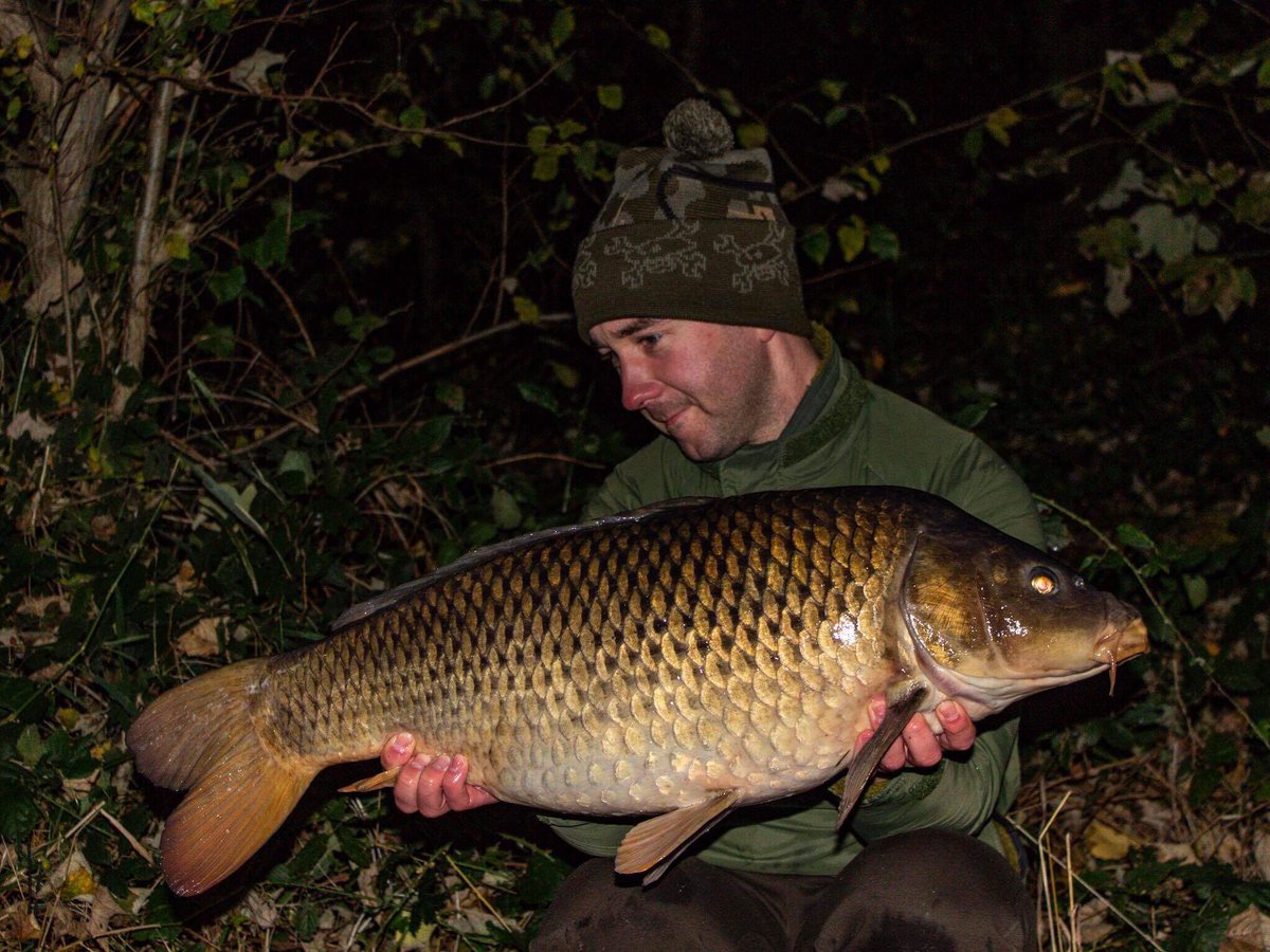 A late entry but one we didn’t want to leave out is this excellent common from Nige Weston.

Nige found himself with limited time in 2018 but still wanted to end it on a high. A Northern Mere bottom bait presented in the right location was all it took to achieve it.
#Impulsebaits