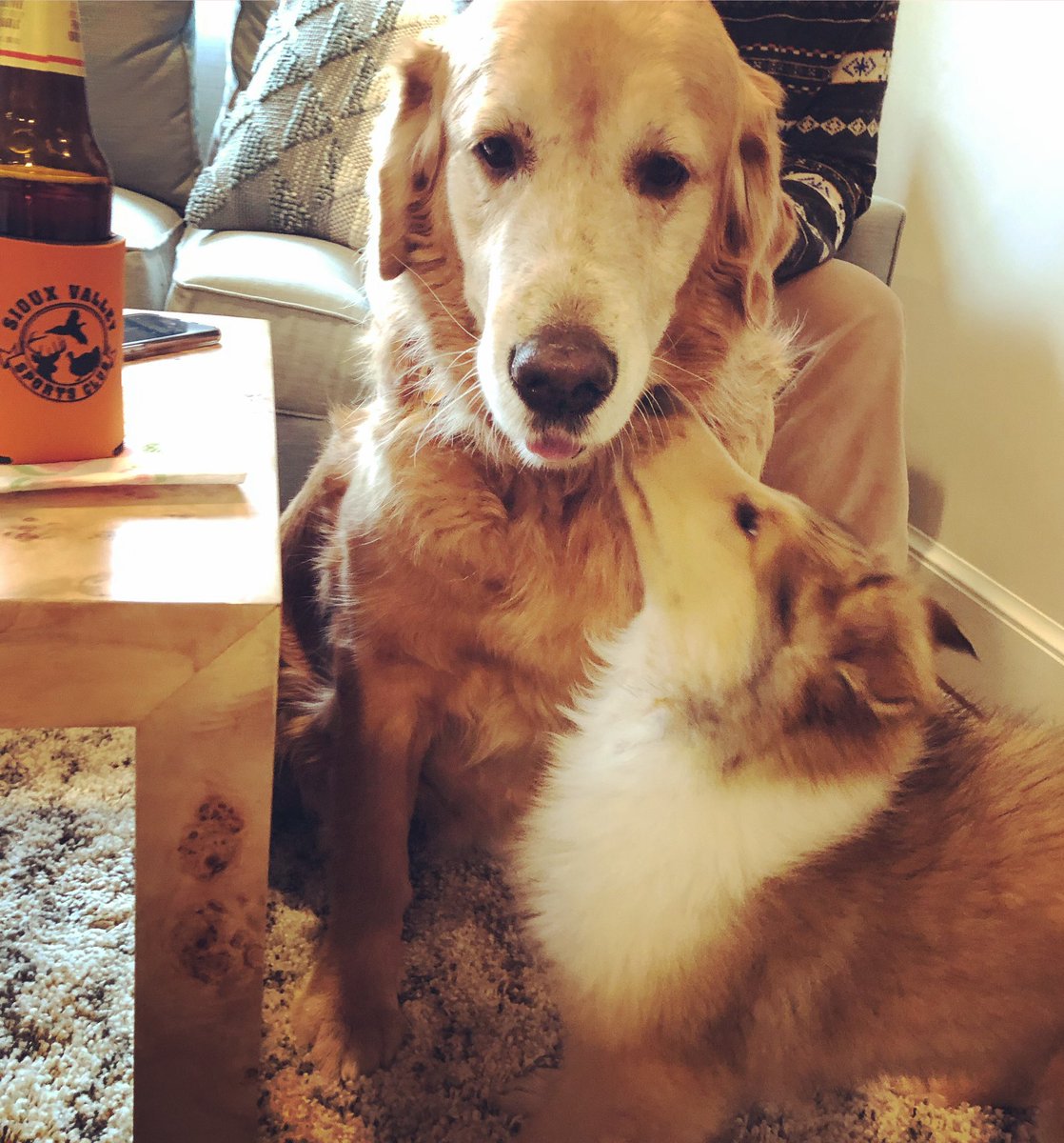 Kristen Soltis Anderson tweet media