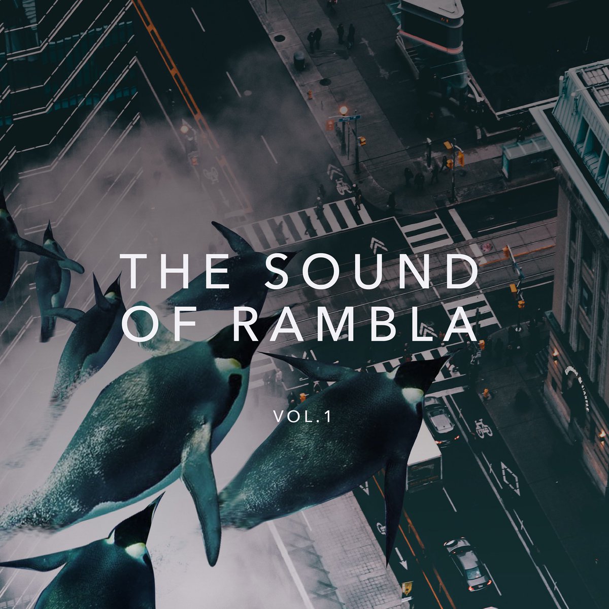 The sound of <a href="/ramblarecords/">Rambla Records</a> is out now 👉 bit.ly/2VLxHaE