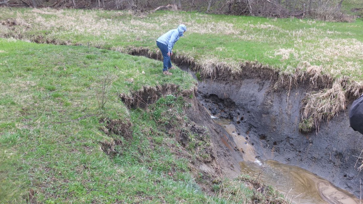 River Restoration is essential  #ClimateAction  . Never gets proper attention. It's a driver of soil loss & ecosystem change that will be our undoing if we don't address it in our efforts: Stream Incision can't be ignored. img cred:  @WIWetlandsAssoc &  http://beslter.org  1/?