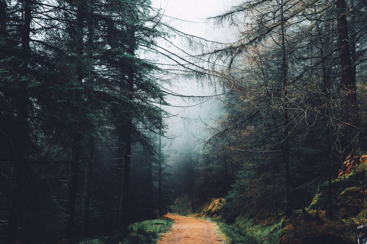 Daniel Casson tweet media