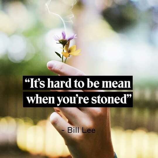TheGreenDailyy's tweet photo. ✌️ #staycrispy #cannabis https://t.co/TpuFb6kKZe