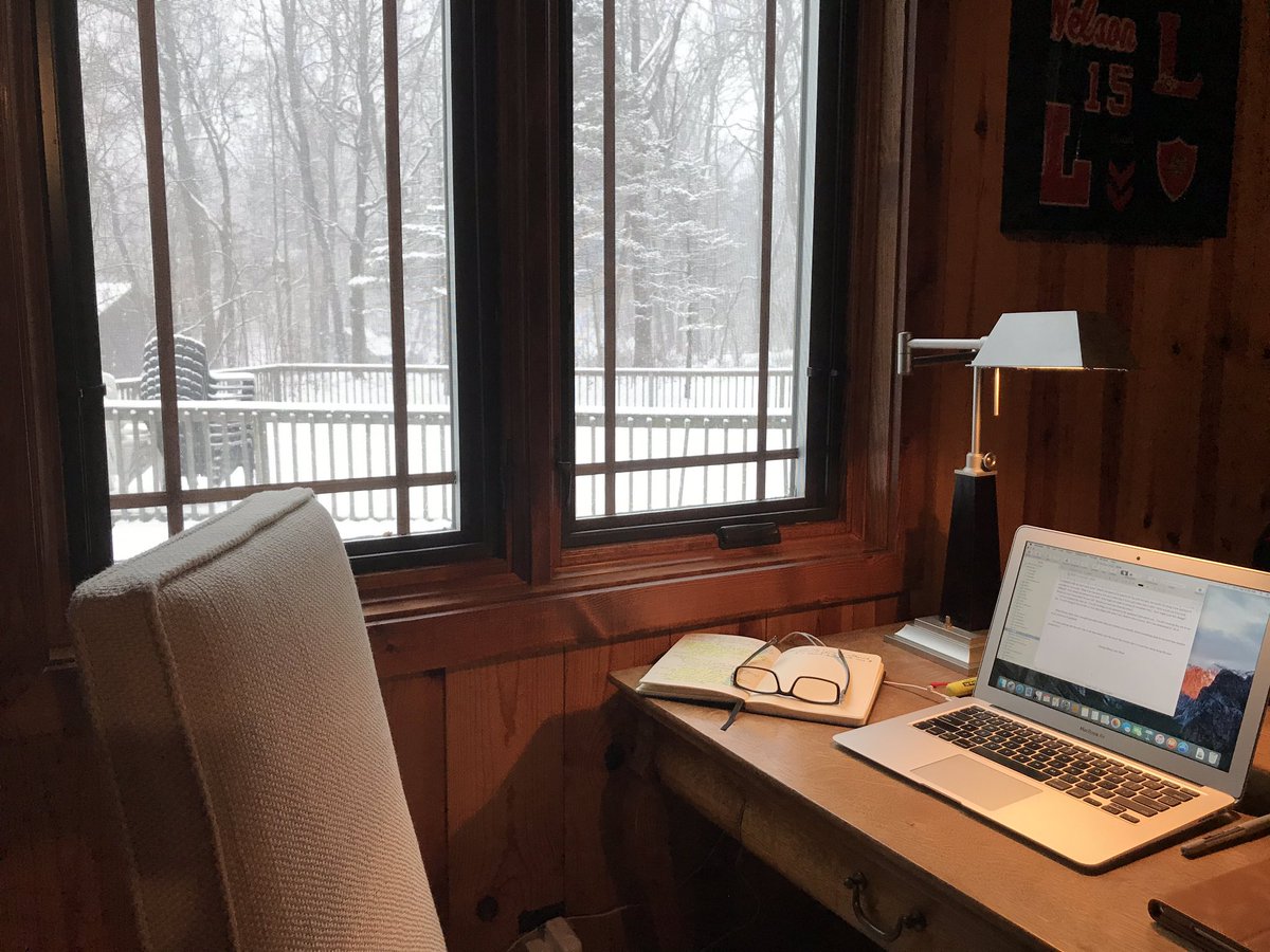 _billnelson's tweet image. Today’s wintery view from my writing desk. #writerslife #inspiration #ihavesomethingtosay #firmgrip