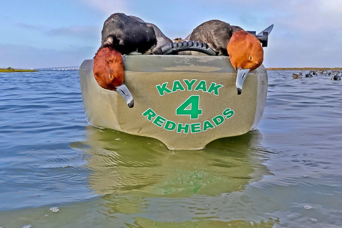 LeftyRay's tweet image. 