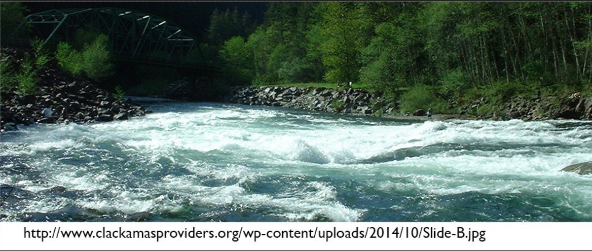 Wading in, One way to think about rivers is that they are not just water. They are a system that moves Water, Sediment (from silts to boulders), & also Seeds (which colonize and hold onto material and can actually allow for some interesting corrections in the stream pattern. 5/?