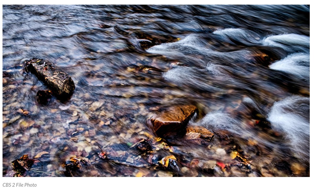 Wading in, One way to think about rivers is that they are not just water. They are a system that moves Water, Sediment (from silts to boulders), & also Seeds (which colonize and hold onto material and can actually allow for some interesting corrections in the stream pattern. 5/?