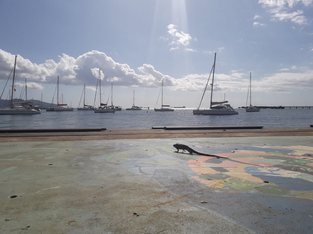 SOSailing's tweet image. Salicia On Sailing goes online soon. Salicia starts new adventures around the globe. #Salacia