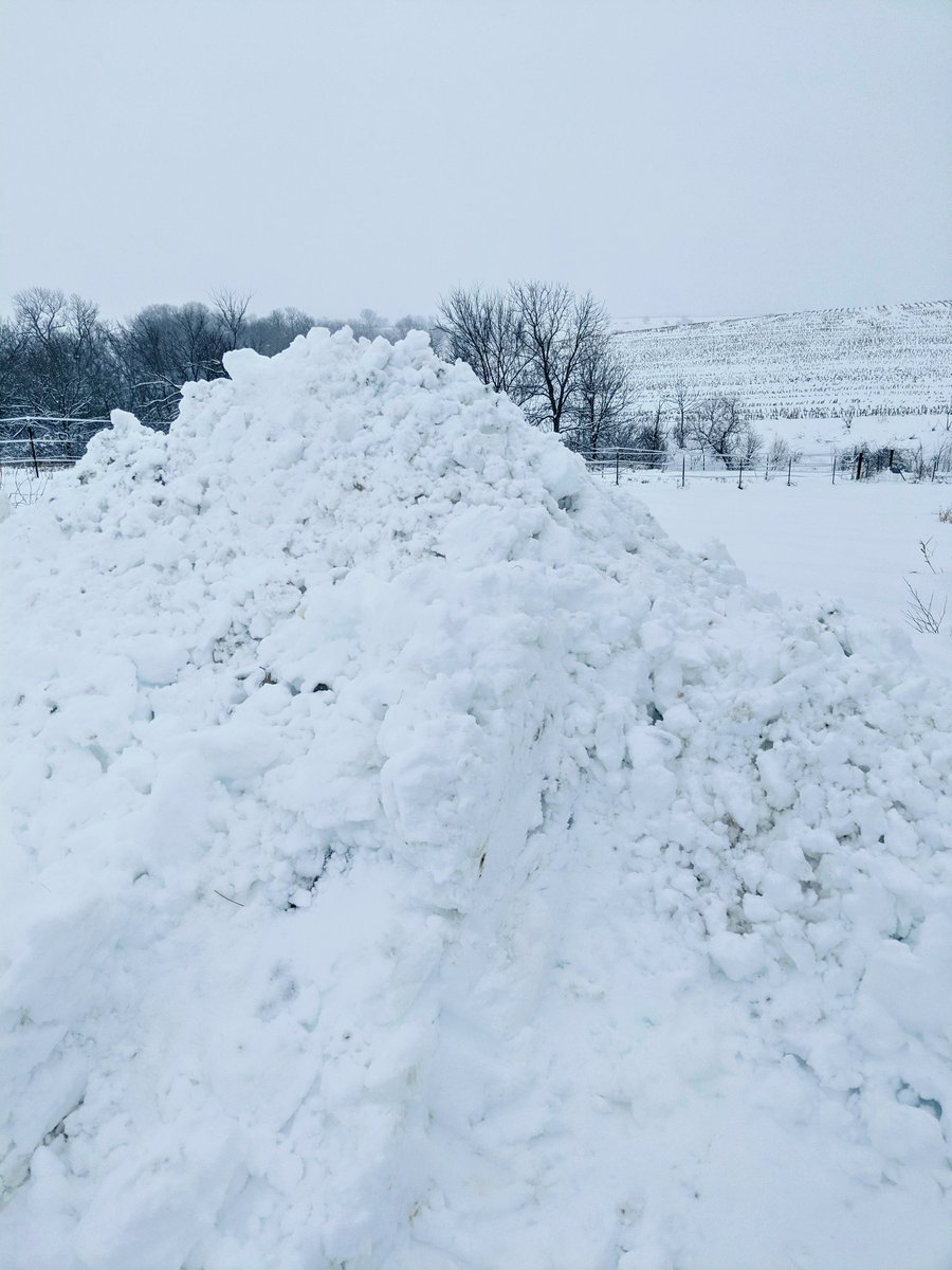 It's only until you're an adult and have to bucket your own driveway that you really appreciate how hard your dad worked to make you the perfect sledding pile free of gravel as a kid.#thanksdad