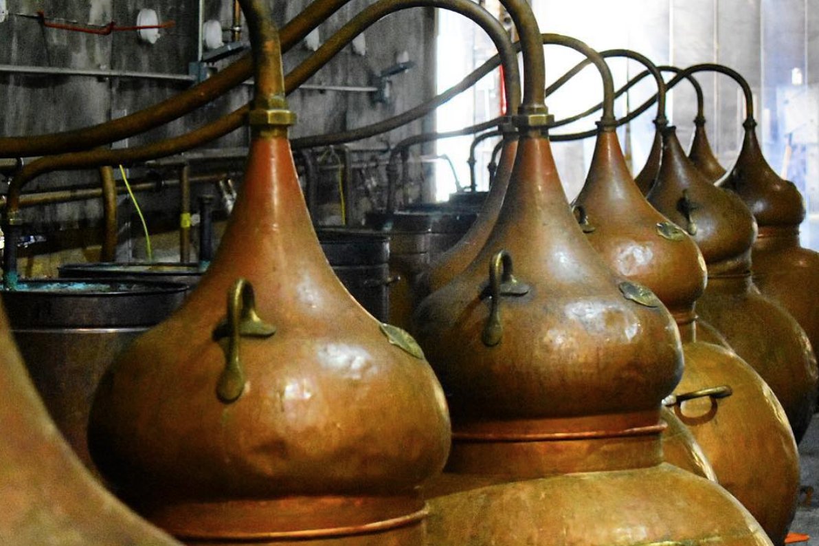 tuffonhall's tweet image. Our grape gin is distilled in a 200L alembic copper pot still. This is an uncommonly small size for a still &amp;amp; really puts the ‘small’ in ‘small batch’. Head over to our website to purchase some of our first ever batch!
#grapegin #copperstill #gin #essexgin #tuffonhallgin