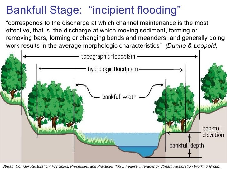 the floodplain takes care of the extra energy of a larger rain event, it absorbs it and hydrates and fertilizes the landscape. It turns out that the regular size of a rivers "bank full" is about a 2-year recurrence interval flood. 12/