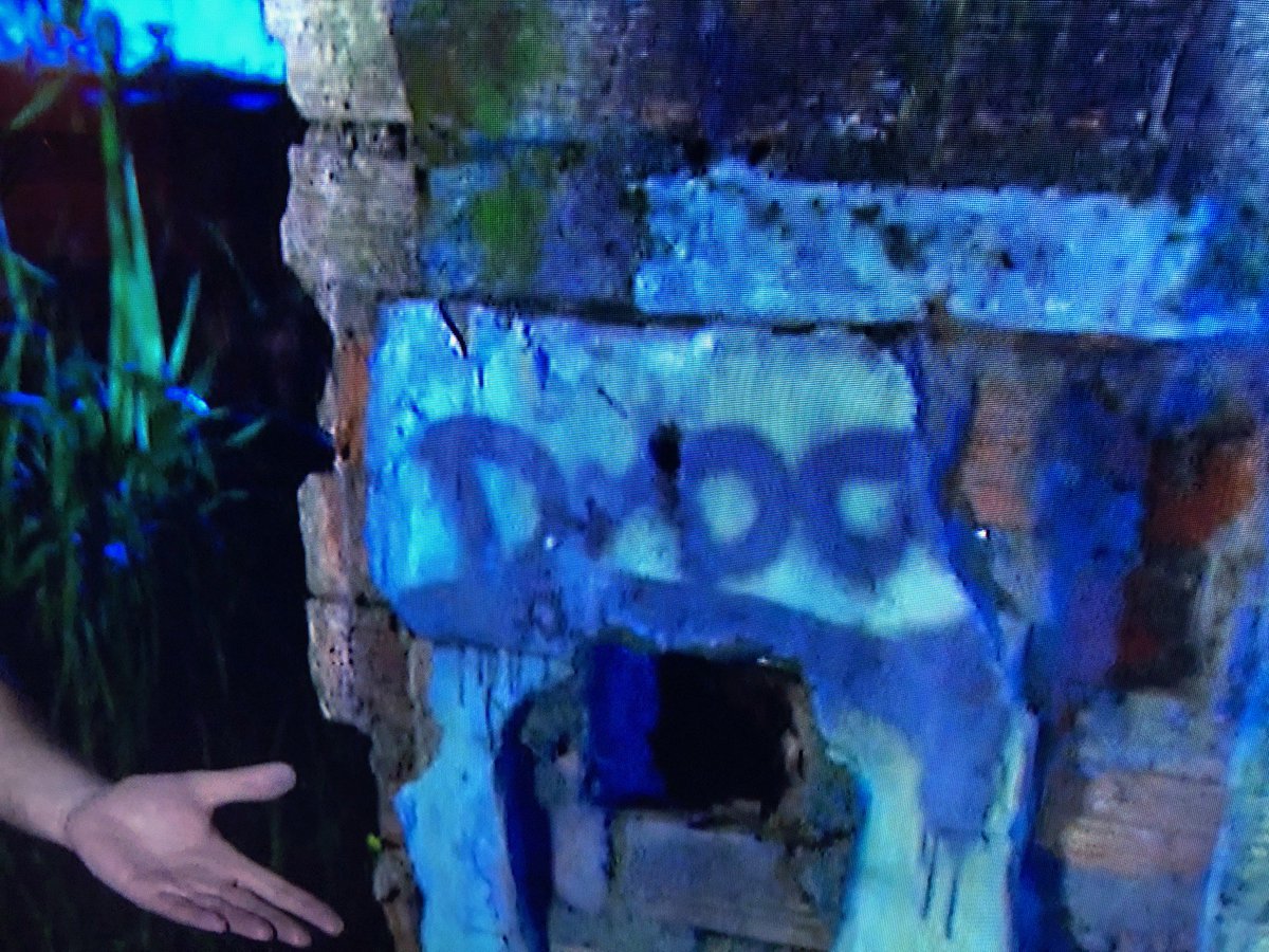 DVPD's tweet image. Voor 'Wie is de mol-volgers' ; welke hint geeft Rick in de uitzending ? &amp;gt; DVPD ! (De Vries Projekt Design)
Zou hij weten dat wij met heel het bedrijf De Mol volgen ?
#moltalk #wieisdemol