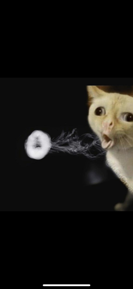 DerrickLofton3's tweet photo. Them: you smoke too much 
Me: 🤷🏾‍♂️🥴💨 https://t.co/bS9y9FtJhy