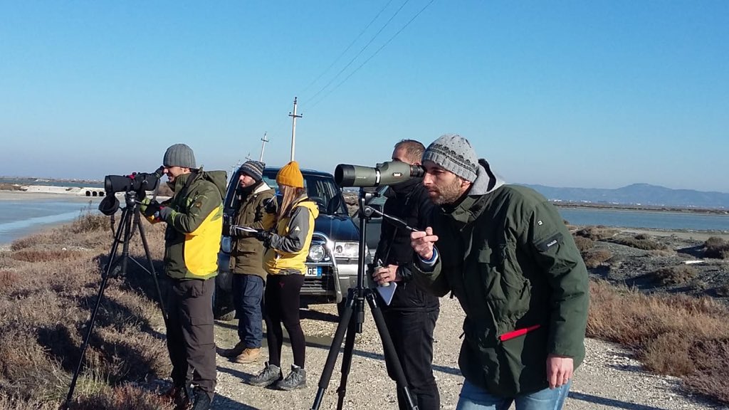 LorelaLazaj's tweet photo. #winterbirdcensus2019 #rapavlore #adzmvlore #nartalagoon #albania #orikumlagoon Follow us at: https://t.co/emHYaxLRfe https://t.co/i67RPblEk4