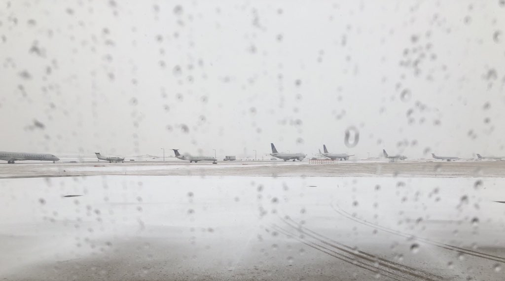 Troy Jorgensen tweet media