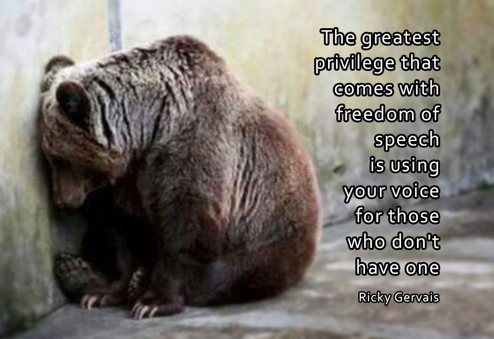 A picture is worth a 1000 words but some make us cry a 1000 tearsπππ¦
#Humanity is sick but we can heal it. Every time we use our voice to advocate for the voiceless, we become part of the cureπΎπ
@RickyGervais is right. "It is the greatest privilege" π»π£π
If not us, who?