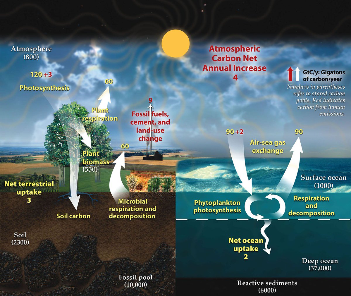 So many landscapes around us are out of balance. Rivers & streams ready to carve into the earth & change the large landscape into something with a lot less water. Grasslands into desert, wet forests into drier. there is a LOT of soil carbon at stake image:  http://bit.ly/2FsZXJo18/ 