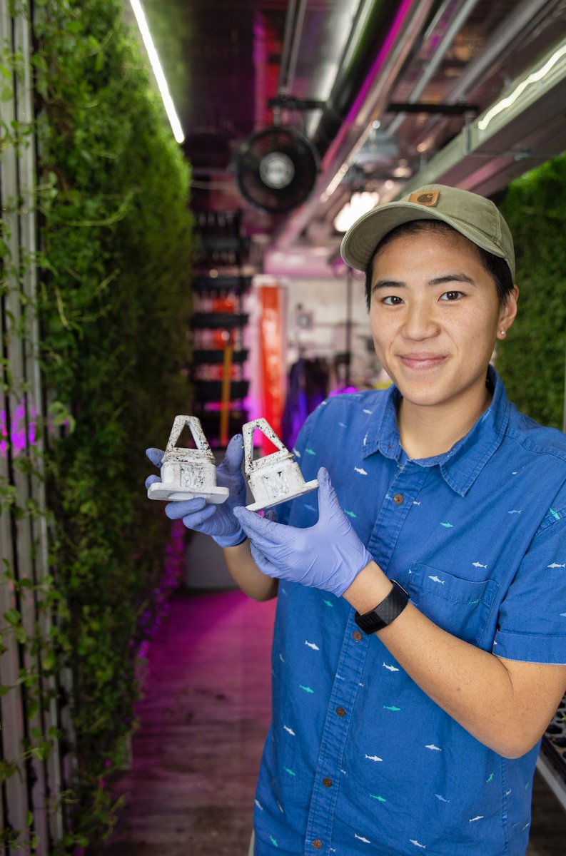 Farmer-first tech means that our #tech &amp; farm teams are constantly innovating + creating more efficient solutions to make farming easier + less laborious for the farmer. Example: team member Maxwell Carmack created “green keys” to help farmers like Em Helle transplant with ease.
