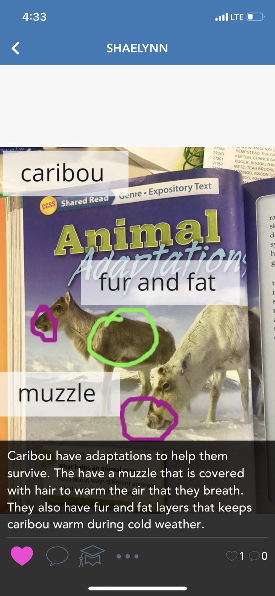 mmooresjc's tweet photo. I got to spend 2 days this week in a 4th grade classroom. And @seesaw was a hit! Students responded to their reading, showed what they know about area and perimeter, and introduced themselves to their new teacher! #GESedtech https://t.co/5zzfq7Hy2a