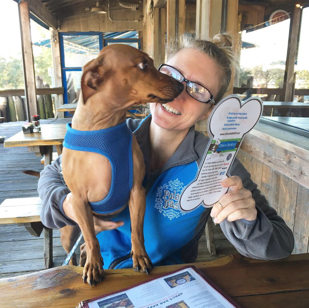 christinedeacon's tweet photo. Dexter can’t decide what he wants to eat. Too many distractions. Another beautiful day in Austin! Spending time with the ones I love!! #Austin #dogsoftwitter #puppymenu https://t.co/Q0dfvtbZfO