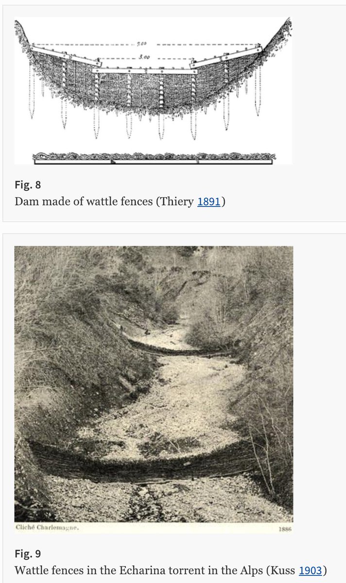 3. We can put structures made of rock, wood, and living plants that help the stream. These are great for emergencies as well as context that are hard to introduce beaver to. Because beaver will do all this work if allowed to and given proper support. 22